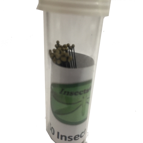 insect mounting pins - entomology pins