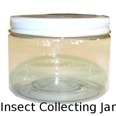 Insect Collecting Jar 